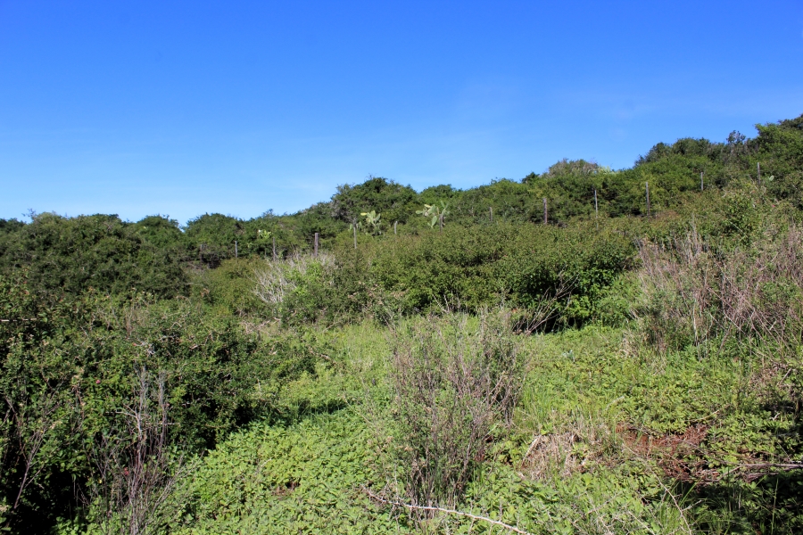 0 Bedroom Property for Sale in Riverview Water Front Estate Eastern Cape